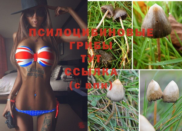 винт Абинск