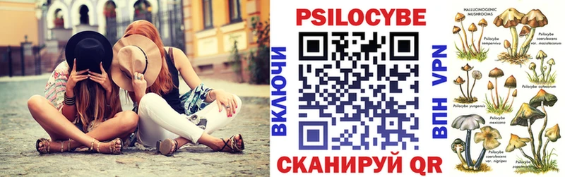 Псилоцибиновые грибы мицелий блэк спрут Зубцов